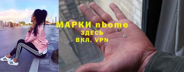 прущие грибы Верхний Тагил