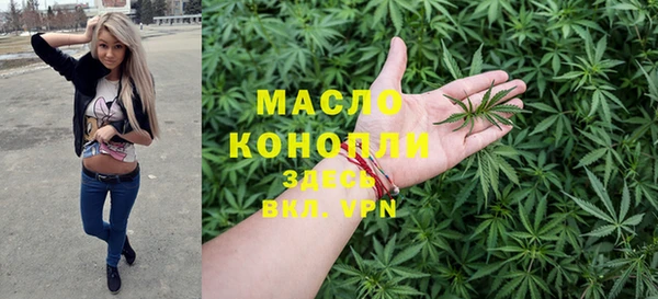 индика Верея