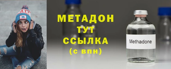 прущие грибы Верхний Тагил
