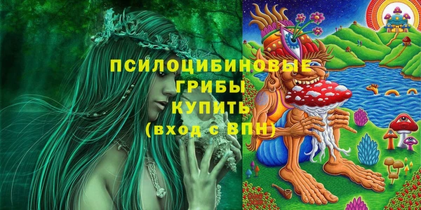 тгк Волосово