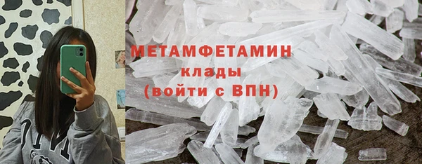 прущие грибы Верхний Тагил