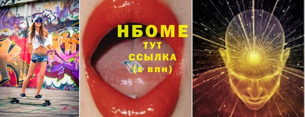 индика Верея