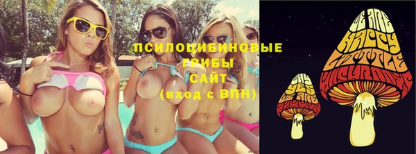 индика Верея