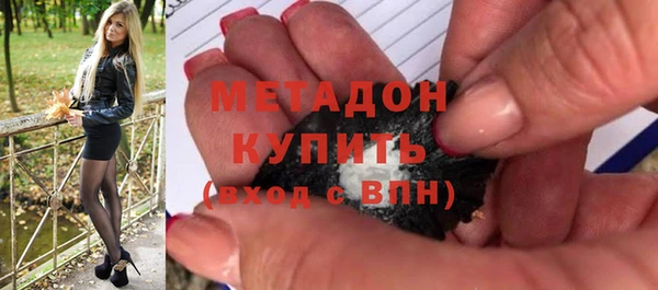 прущие грибы Верхний Тагил
